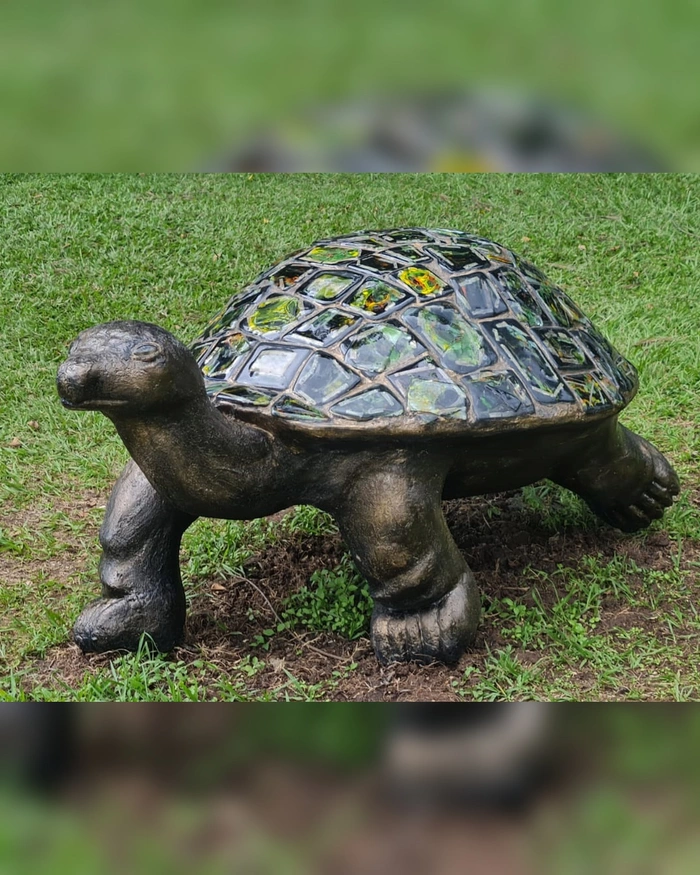Tortuga Gigante — Estuardo Mendez-Ruiz